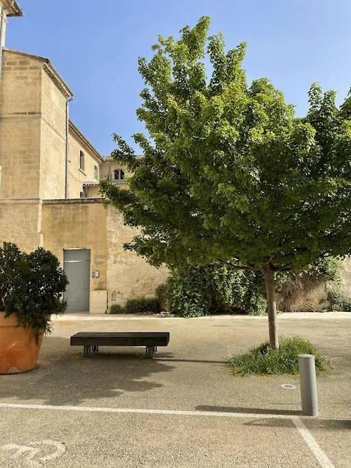 Maison Avec Patio Proche Place Des Carmes Avignon Holiday home